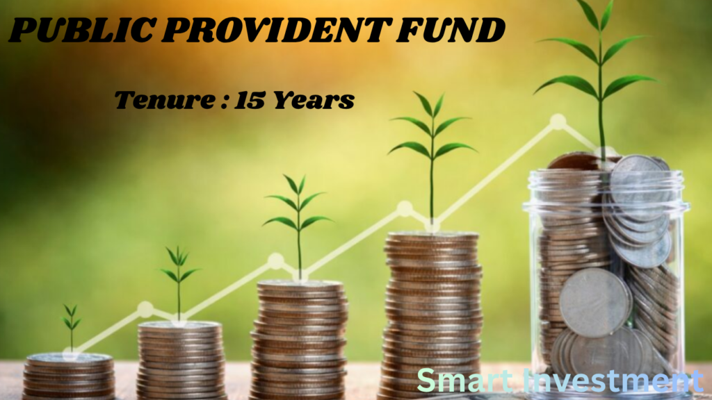 PUBLIC PROVIDENT FUND