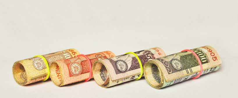 PUBLIC PROVIDENT FUND